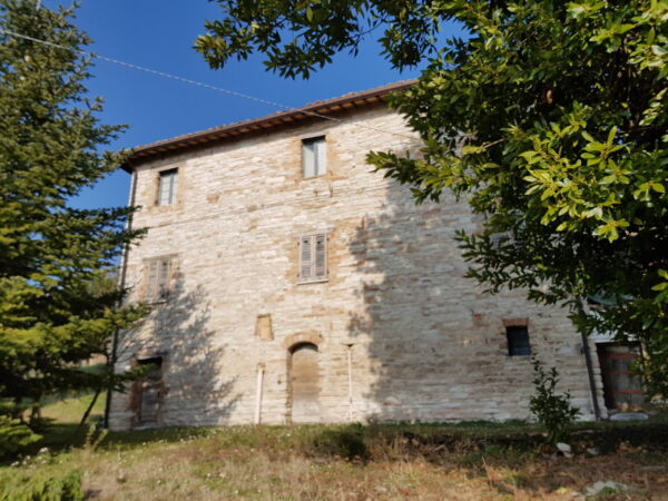 Casale località Cesane- Rif. CDR212 - immagine 6