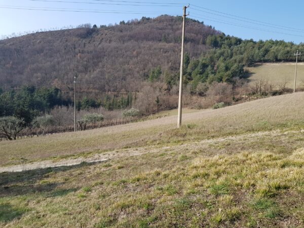 Casale località Cesane- Rif. CDR212 - immagine 10