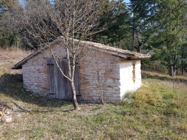 Casale località Cesane- Rif. CDR212 - immagine 7