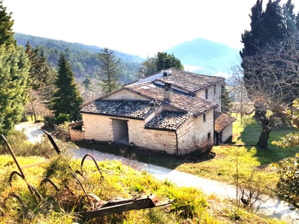 Casale località Cesane- Rif. CDR212 - immagine 2