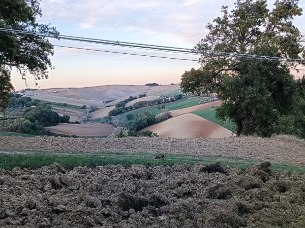 Casale panoramico in mattoni e pietra  a Castelleone di Suasa- Rif. CDR 274 - immagine 5