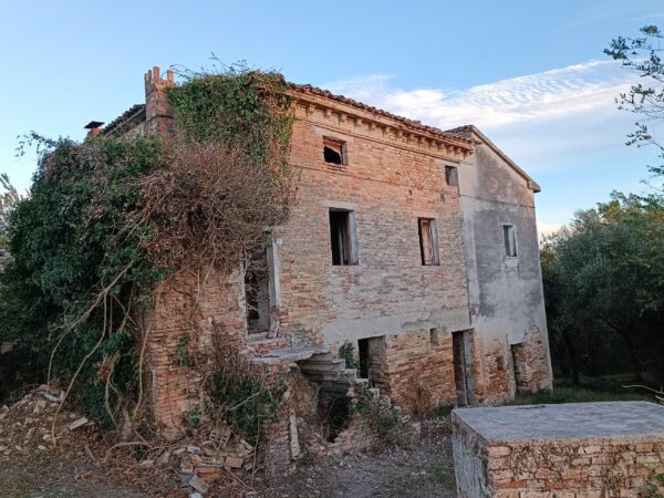Casale panoramico in mattoni e pietra  a Castelleone di Suasa- Rif. CDR 274 - immagine 4