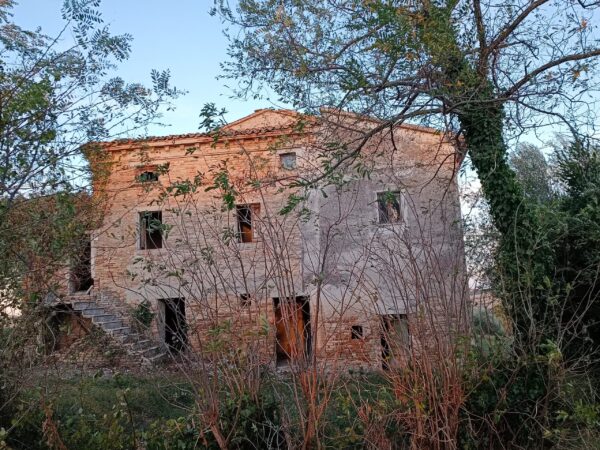Casale panoramico in mattoni e pietra  a Castelleone di Suasa- Rif. CDR 274 - immagine 2