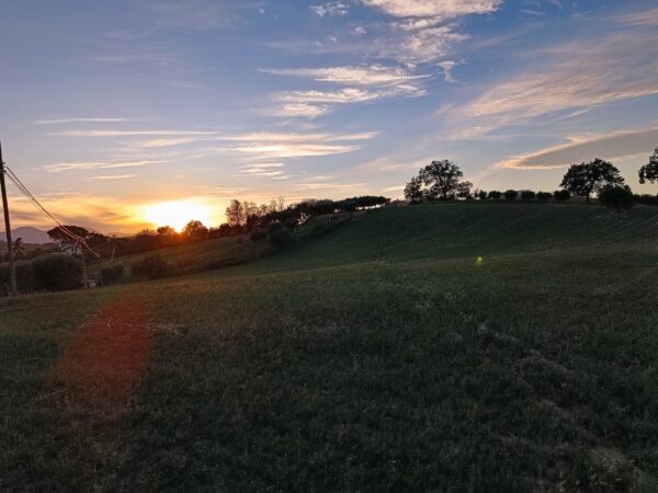 Casale panoramico in mattoni e pietra  a Castelleone di Suasa- Rif. CDR 274 - immagine 11