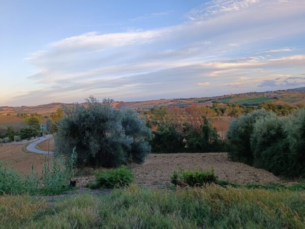 Casale panoramico in mattoni e pietra  a Castelleone di Suasa- Rif. CDR 274 - immagine 8