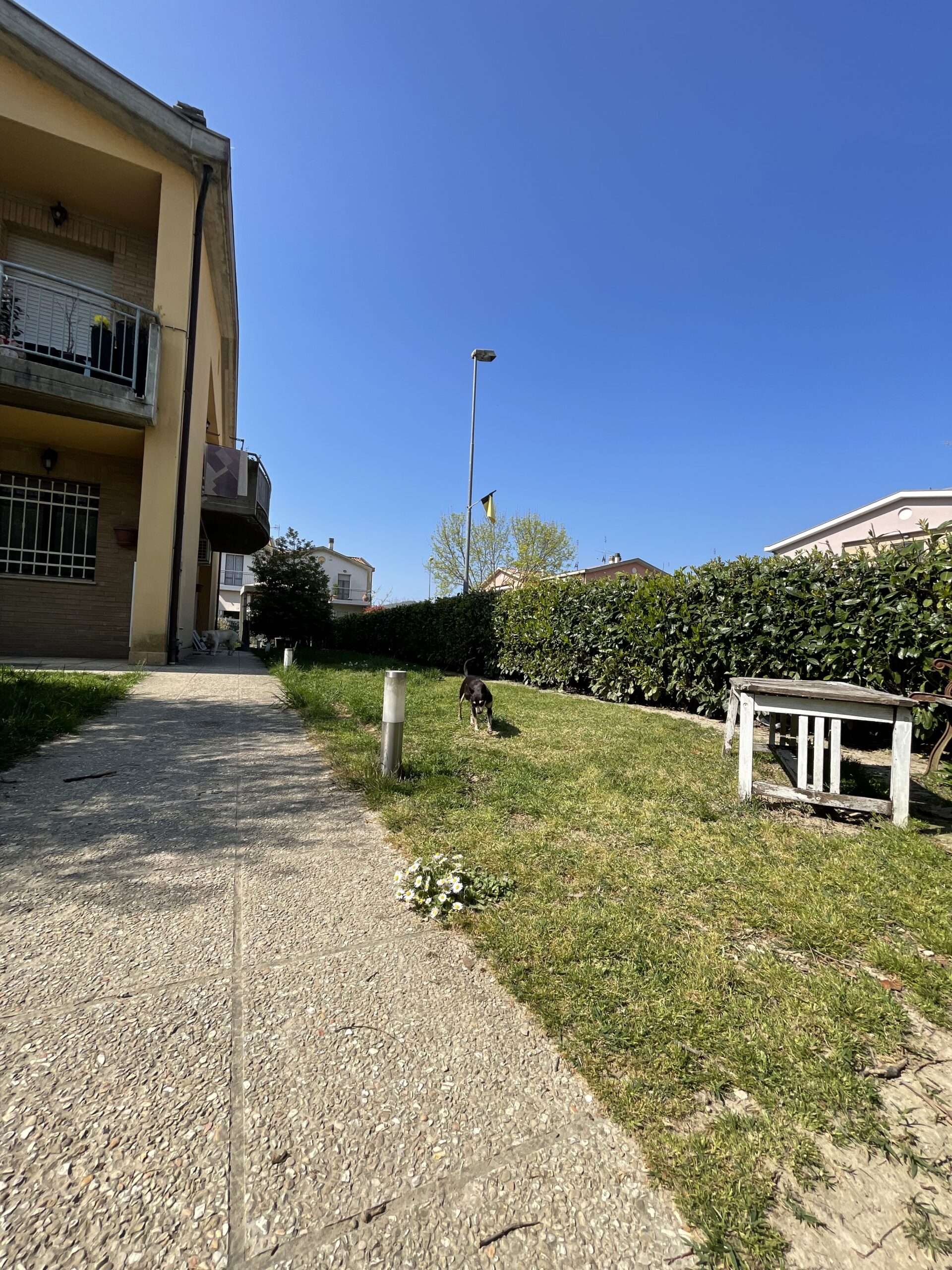 Appartamento piano terra Fermignano con 150 mq di giardino e garage - Rif.A178 - immagine 3