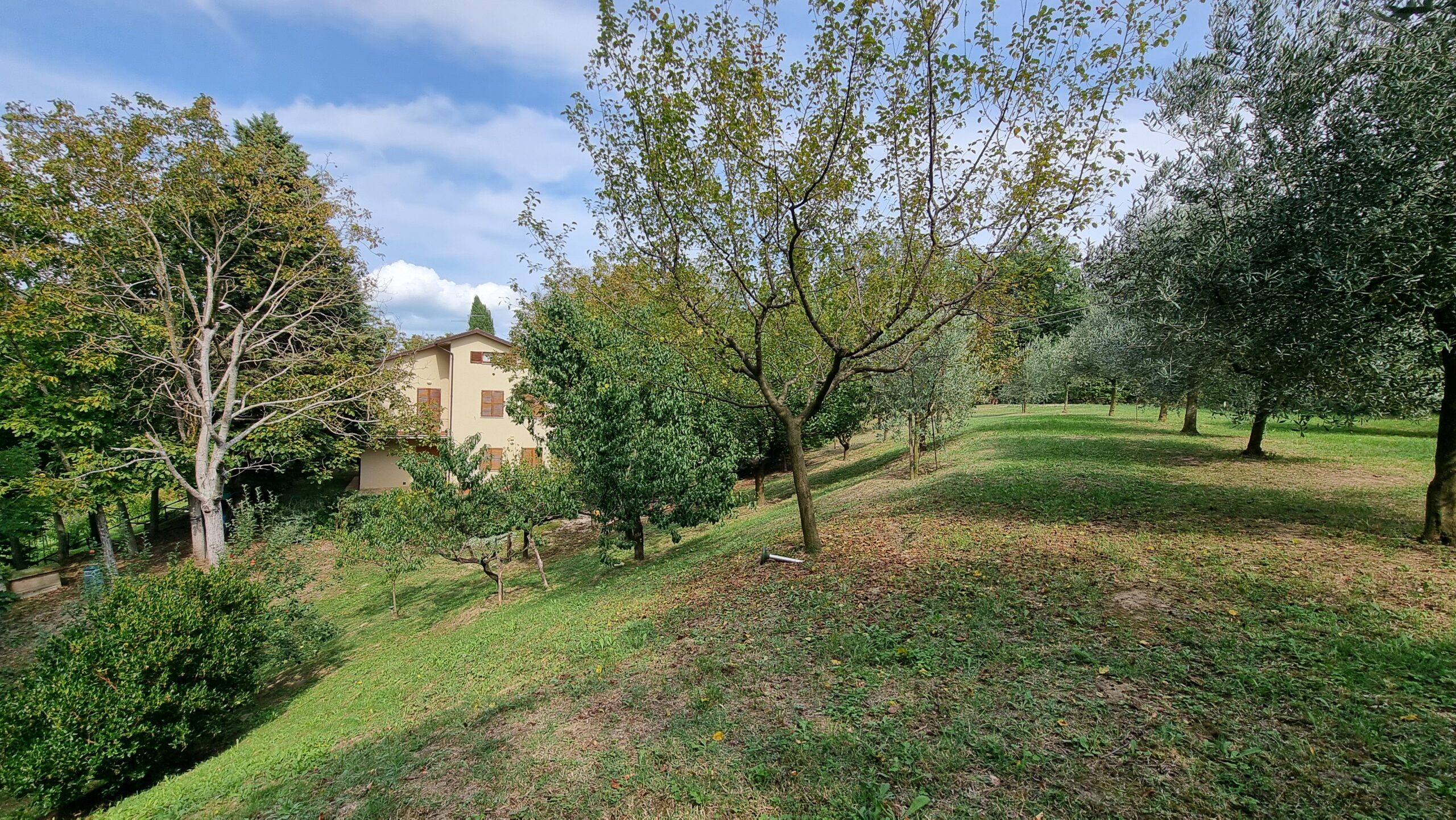 casale ristrutturato urbania da vendere