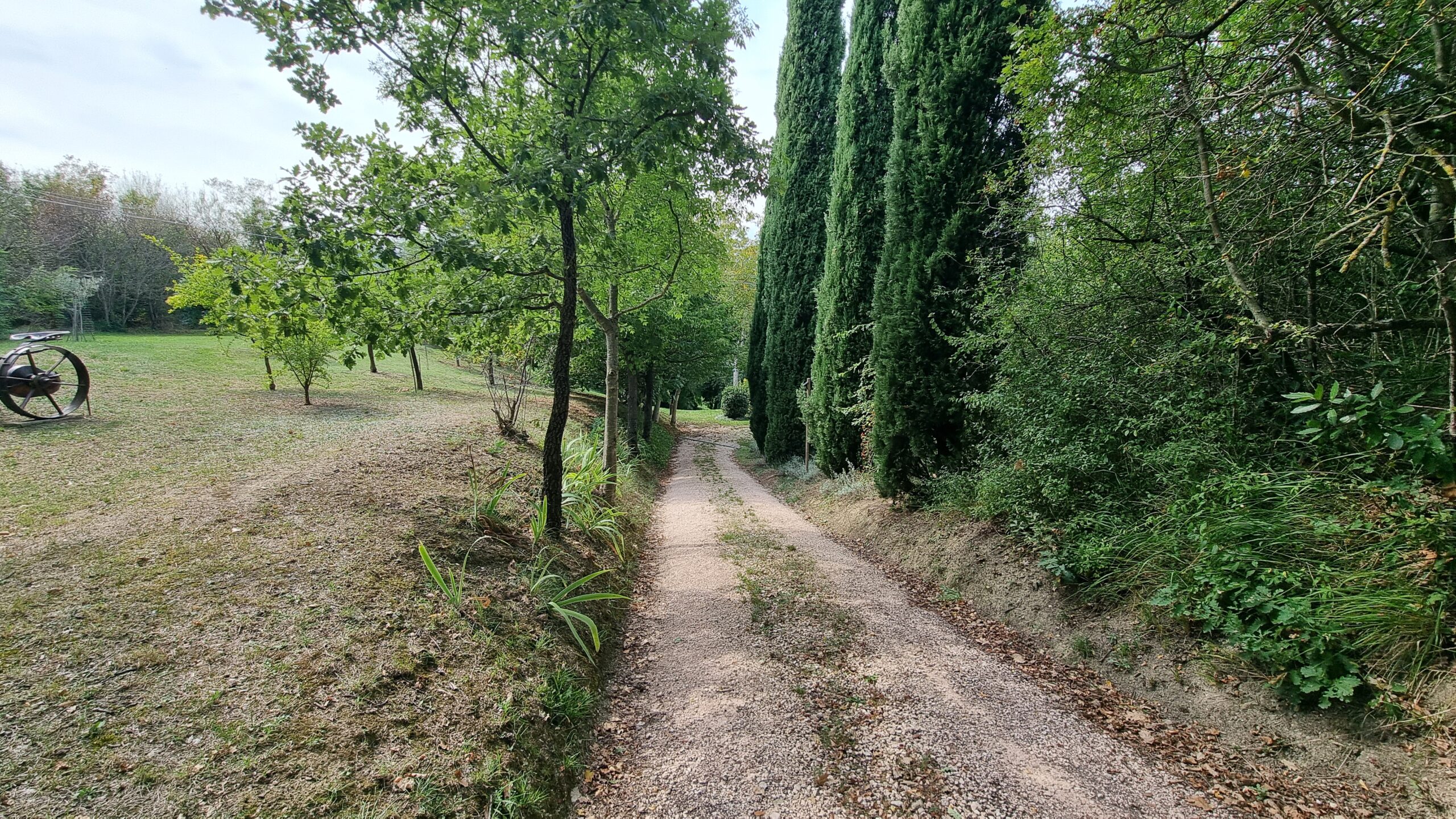 Casale in vendita con depandance in Urbania - Rif. CR304 - immagine 25