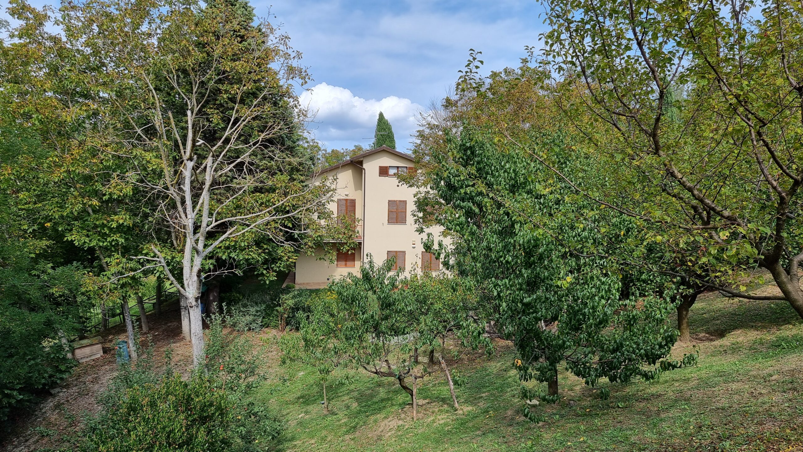 Casale in vendita con depandance in Urbania - Rif. CR304 - immagine 14