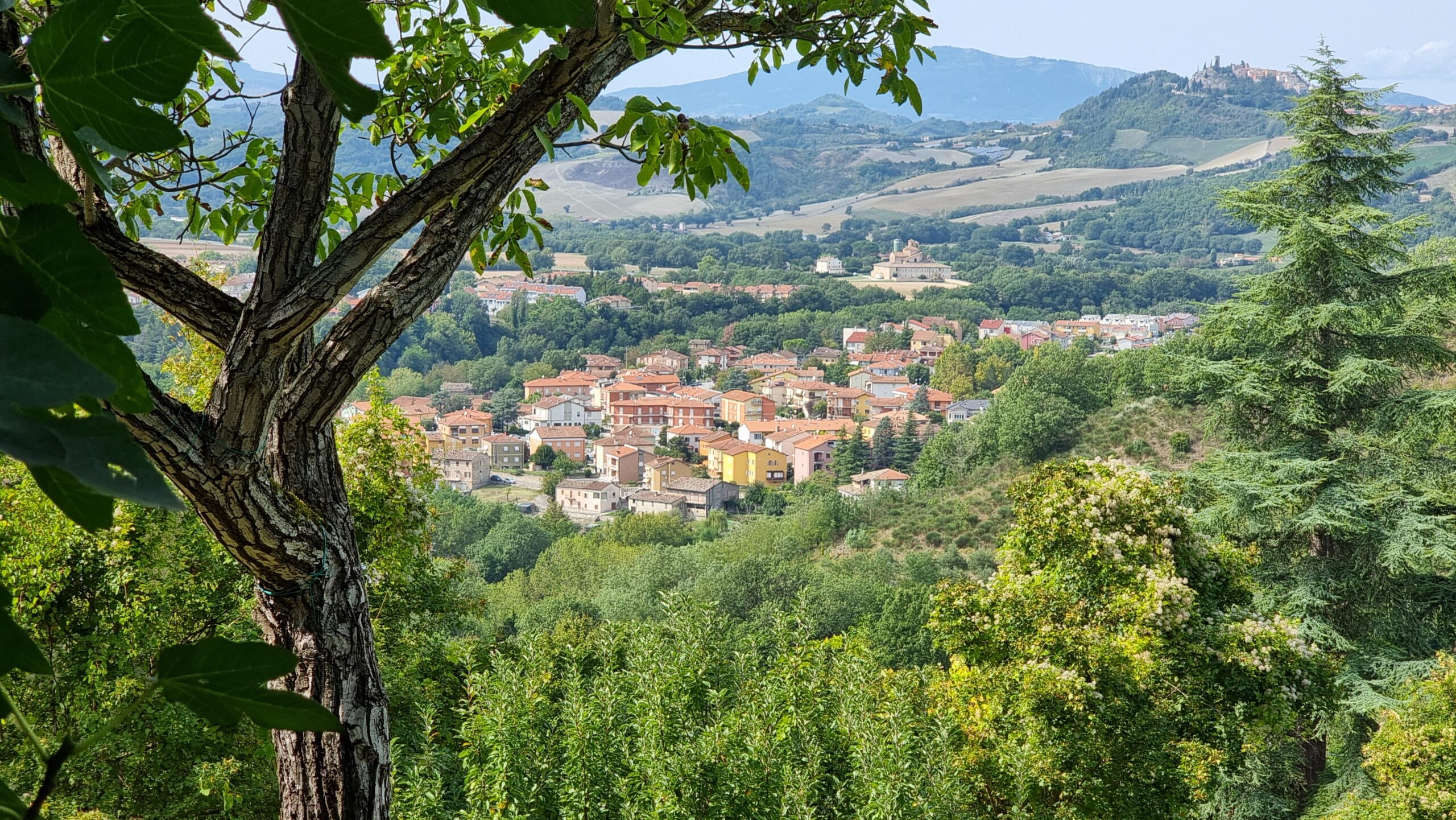 Casale in vendita con depandance in Urbania - Rif. CR304 - immagine 23