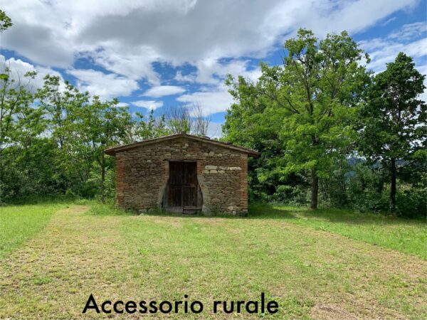 Casale in vendita con depandance in Urbania - Rif. CR304 - immagine 9