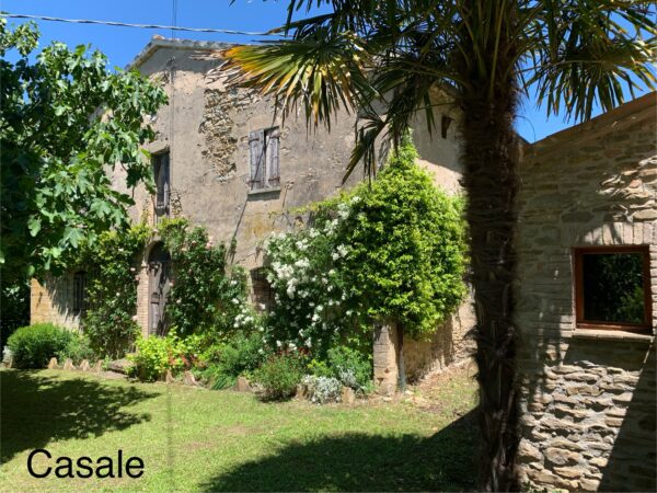 Casale in vendita con depandance in Urbania - Rif. CR304 - immagine 3