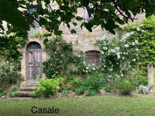 Casale in vendita con depandance in Urbania - Rif. CR304 - immagine 2