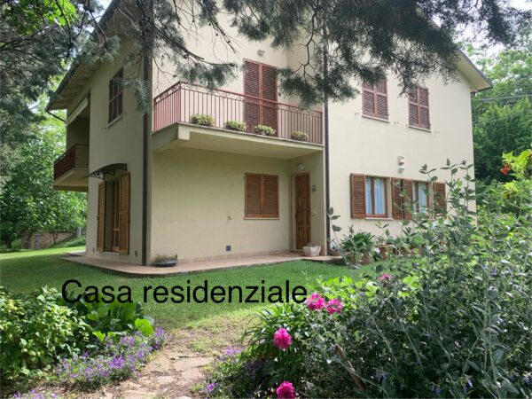 Casale in vendita con depandance in Urbania - Rif. CR304 - immagine 8