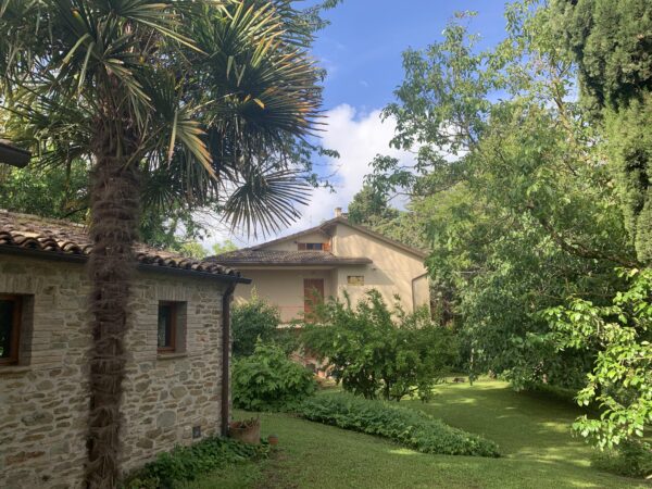 Casale in vendita con depandance in Urbania - Rif. CR304 - immagine 11