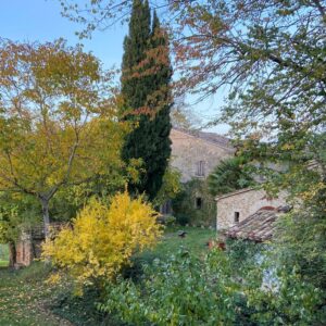 Compendio immobiliare nel Montefeltro: Casale, depandance, bifamiliare e 4 Ettari a Urbania- Rif. CR304