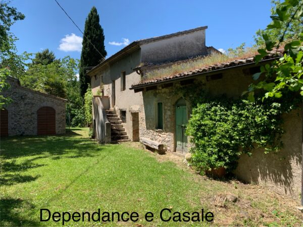Casale in vendita con depandance in Urbania - Rif. CR304 - immagine 5