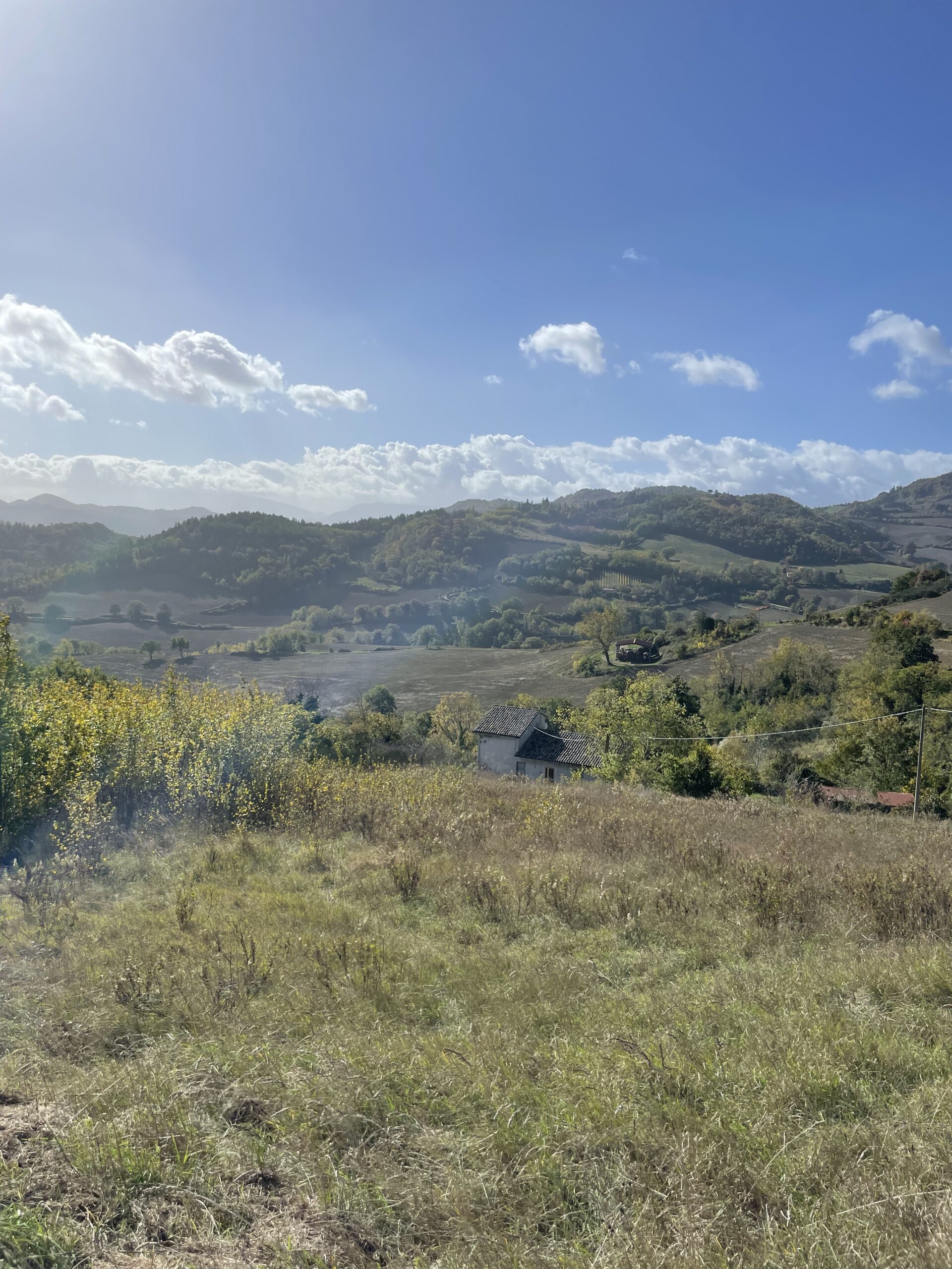 Rustico in vendita a Urbino con 2 ettari di terreno Rif. CR303 - immagine 3