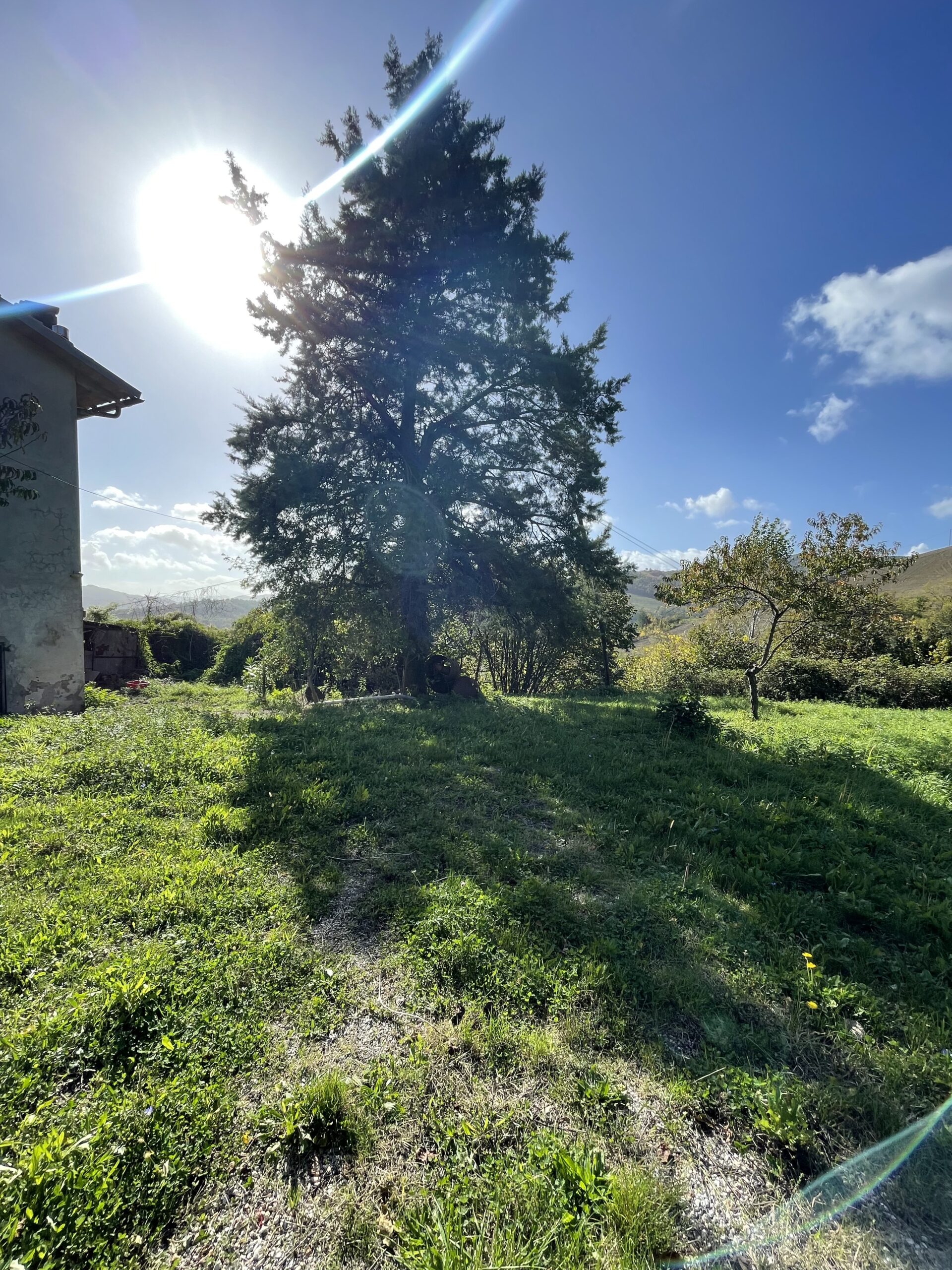 Rustico in vendita a Urbino con 2 ettari di terreno Rif. CR303 - immagine 9