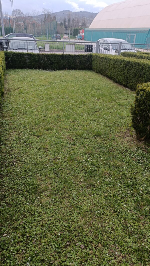 Appartamento antisismico con grande giardino - Rif. A140 - immagine 13