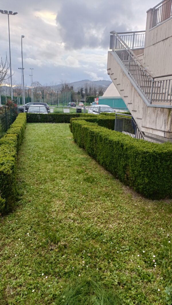 Appartamento antisismico con grande giardino - Rif. A140 - immagine 14