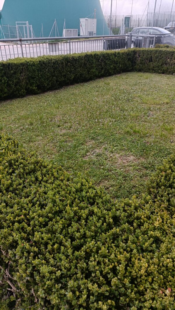 Appartamento antisismico con grande giardino - Rif. A140 - immagine 15