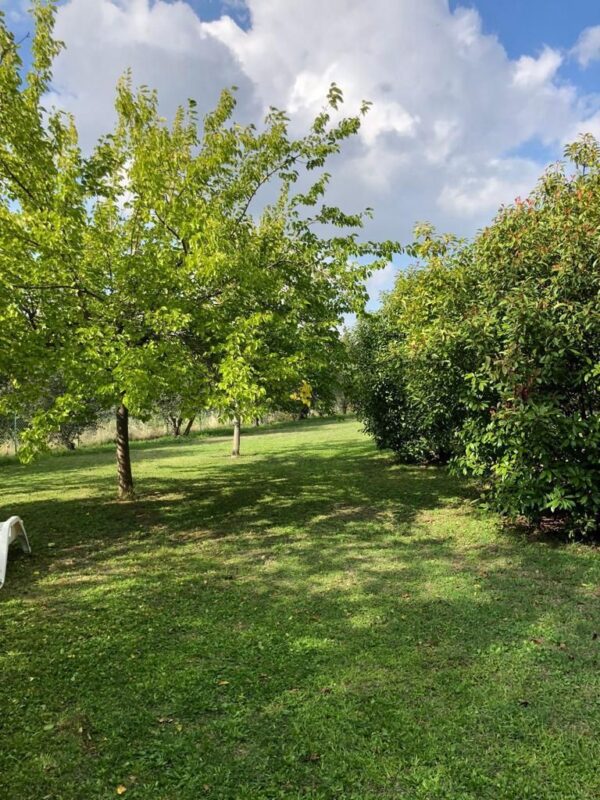 Casale nel parco delle Cesane - Rif. CR322 - immagine 7