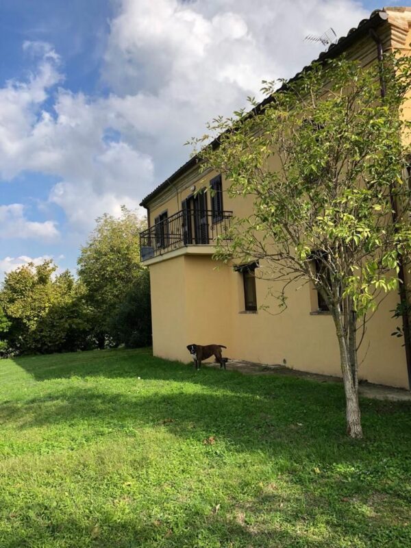 Casale nel parco delle Cesane - Rif. CR322 - immagine 6