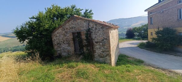 Casale da ristrutturare a Sassocorvaro Auditore - Rif. CDR210 - immagine 7
