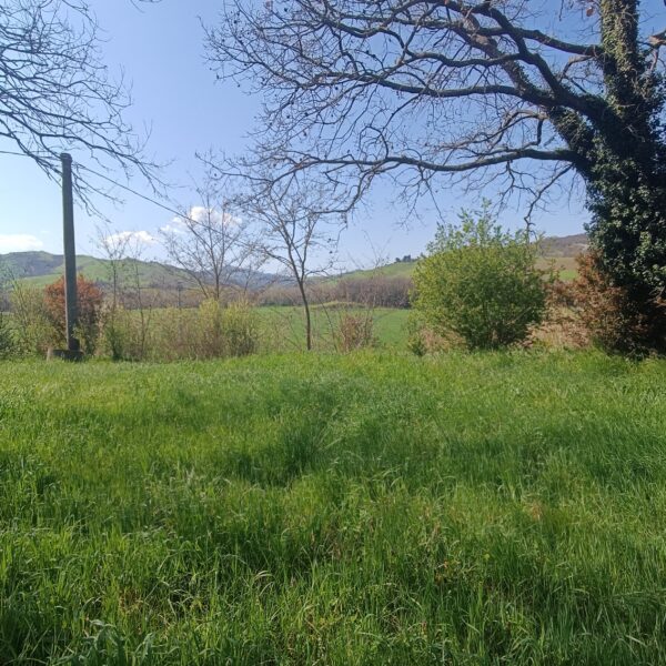 Casale in Carpegna con giardino privato di 3000mq - Rif. CR344 - immagine 5