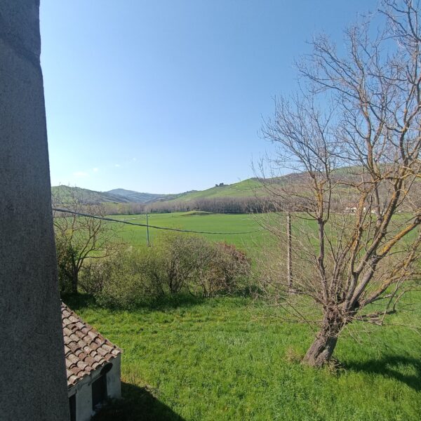 Casale in Carpegna con giardino privato di 3000mq - Rif. CR344 - immagine 6