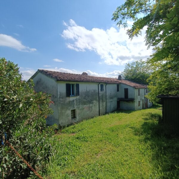 Casale da ristrutturare nelle Marche con ulivi secolari - Rif. CDR243 - immagine 4