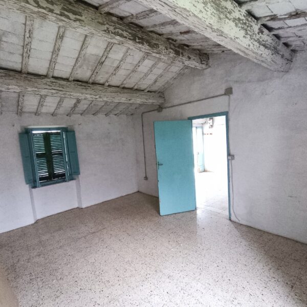 Casale da ristrutturare nelle Marche con ulivi secolari - Rif. CDR243 - immagine 13