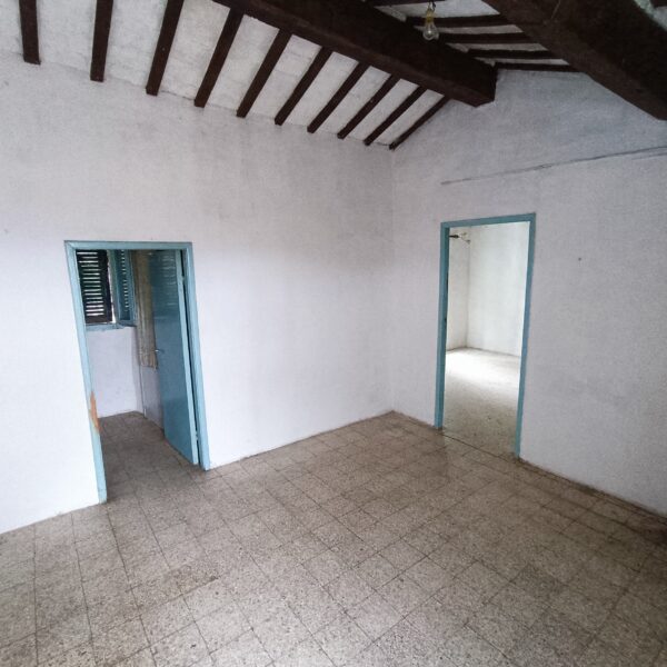 Casale da ristrutturare nelle Marche con ulivi secolari - Rif. CDR243 - immagine 10