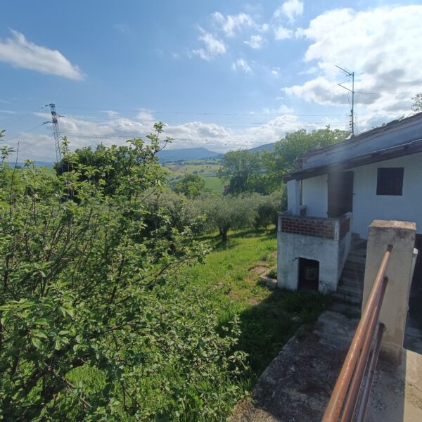 Casale da ristrutturare nelle Marche con ulivi secolari - Rif. CDR243 - immagine 6