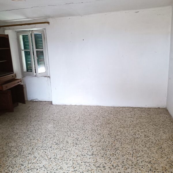Casale da ristrutturare nelle Marche con ulivi secolari - Rif. CDR243 - immagine 16