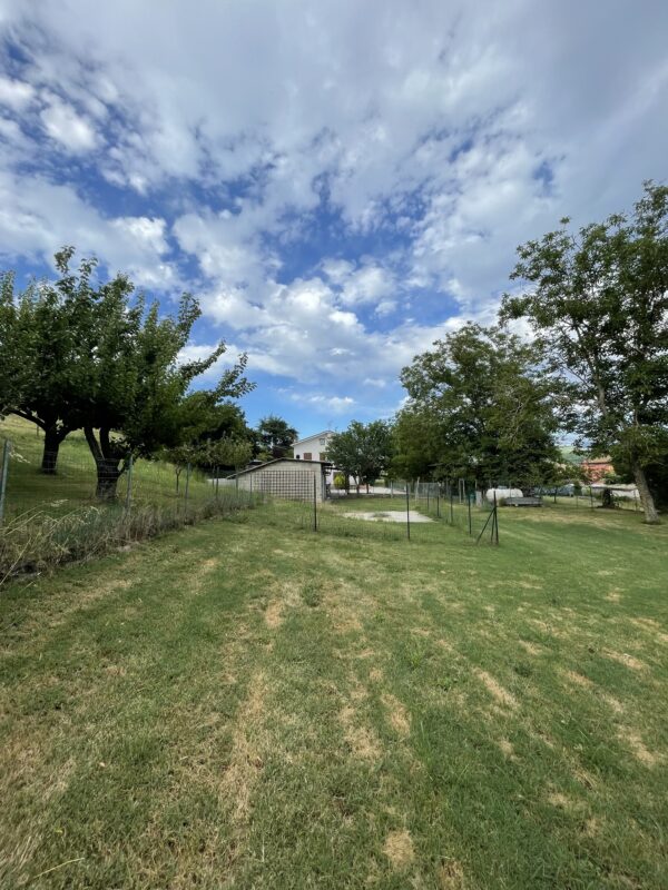 casale con terreno e dependance marche