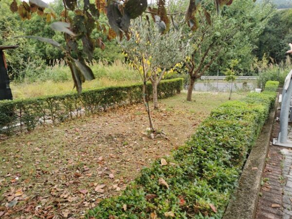Appartamento piano terra con giardino zona Conad Superstore - Rif A137 - immagine 13