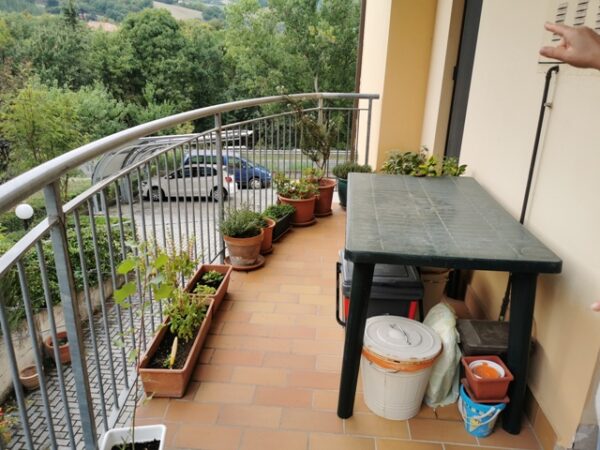 Appartamento piano terra con giardino zona Conad Superstore - Rif A137 - immagine 11