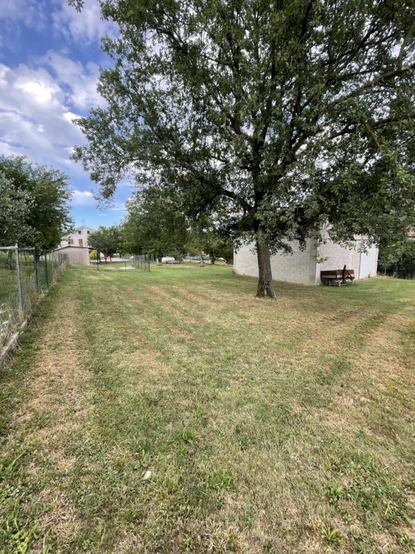 Casale con terreno, dependance, fienile nelle Marche - Rif. CR355 - immagine 20