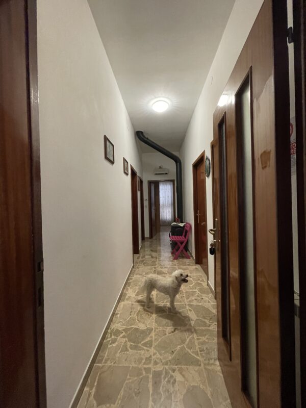 Casale con terreno, dependance, fienile nelle Marche - Rif. CR355 - immagine 6