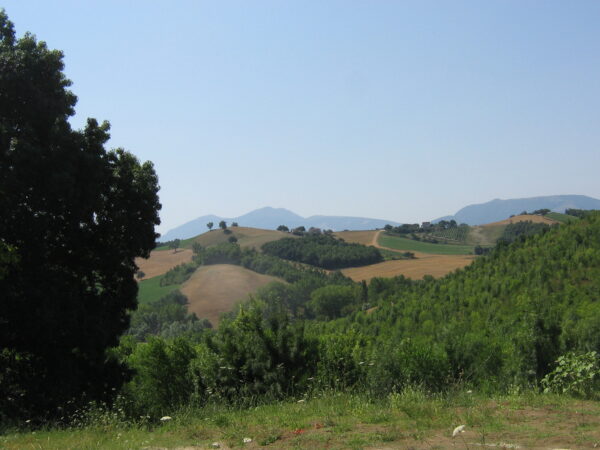 Villetta bifamiliare (porzione allo stato grezzo) con giardino   - Rif. A111 - immagine 12