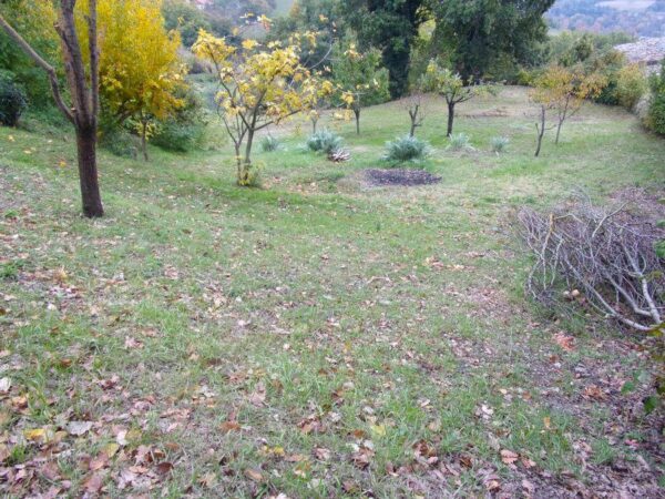 Casale a Urbino con giardino e vista sul Monte Pietralata   - Rif. CR307 - immagine 6