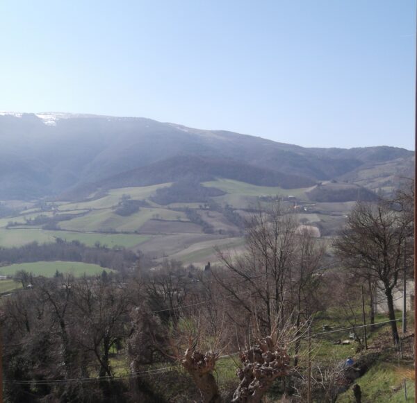 Casale a Urbino con giardino e vista sul Monte Pietralata   - Rif. CR307 - immagine 2