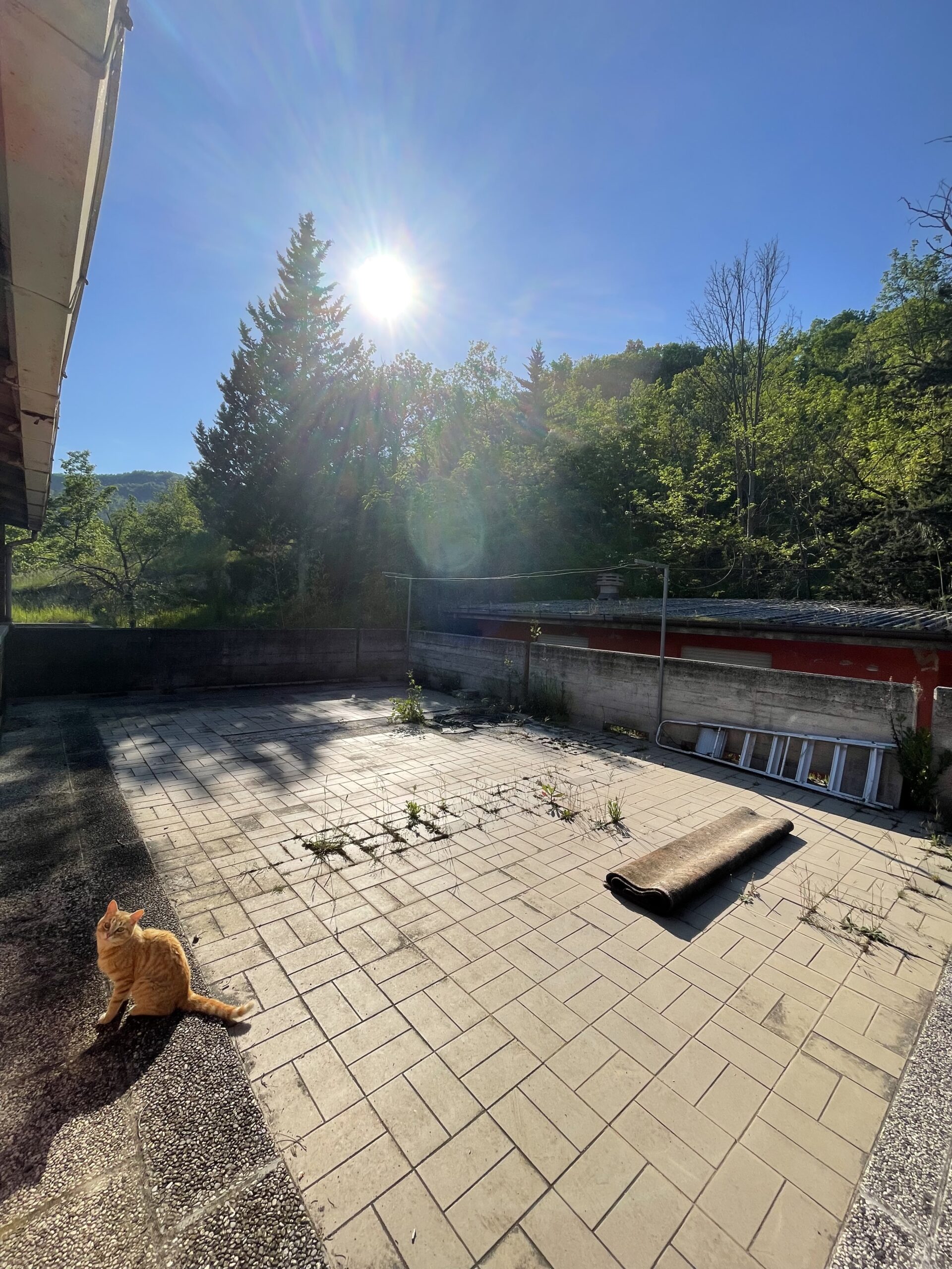 Ex ristorante storico con ampio parcheggio, un appartamento e 2,5ettari - Rif. CR333 - immagine 10