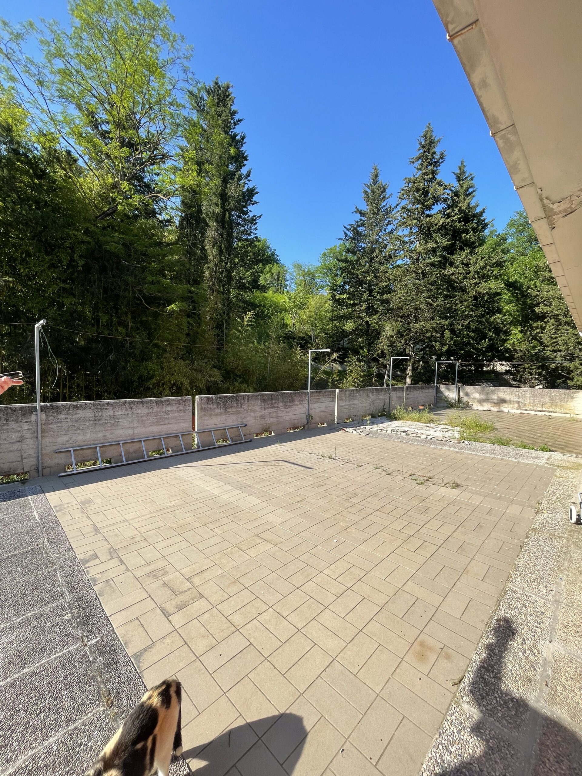 Ex ristorante storico con ampio parcheggio, un appartamento e 2,5ettari - Rif. CR333 - immagine 11