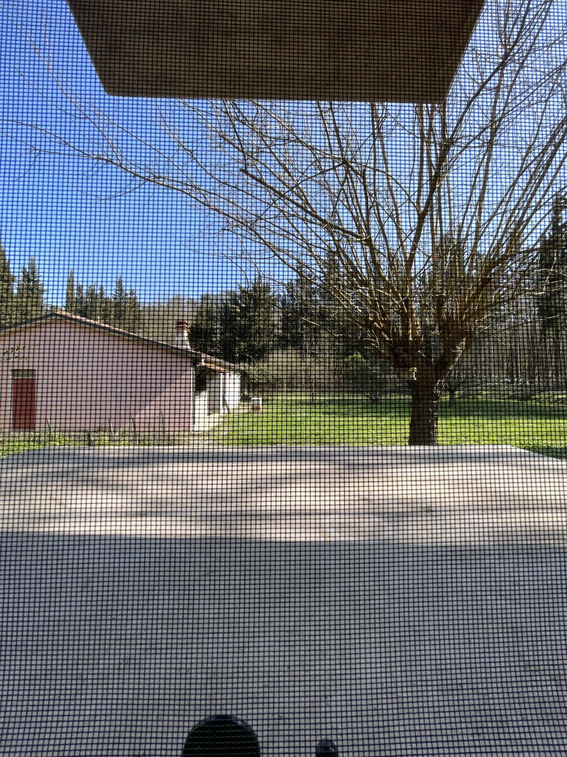 Villa indipendente a Fossombrone con 35.000 mq di bosco e uliveti - Rif.A102 - immagine 25