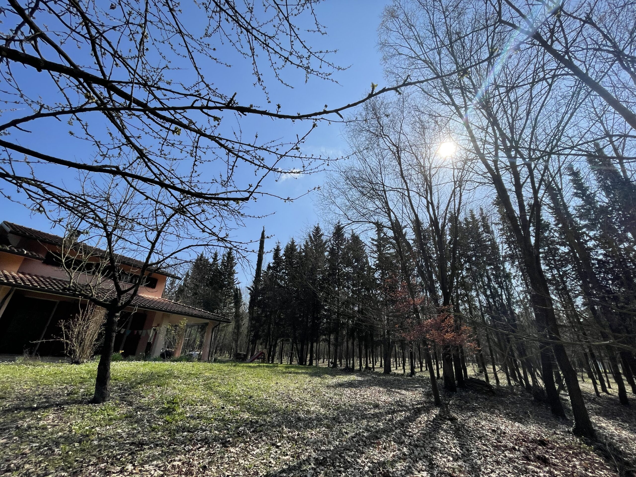 Villa indipendente a Fossombrone con 35.000 mq di bosco e uliveti - Rif.A102 - immagine 10
