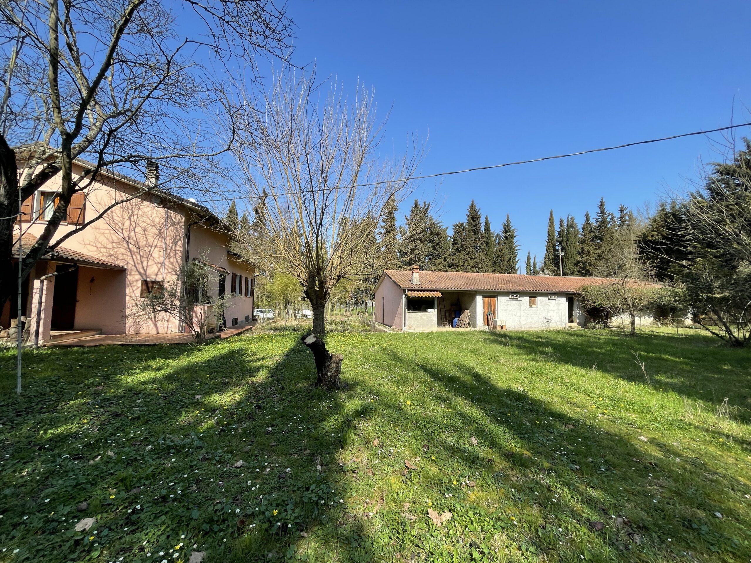 Villa indipendente a Fossombrone con 35.000 mq di bosco e uliveti - Rif.A102 - immagine 7