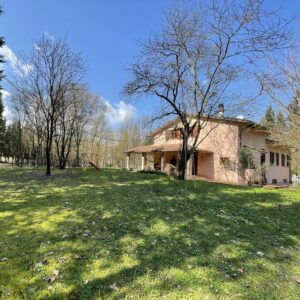 Villa indipendente a Fossombrone con 35.000 mq di bosco e uliveti - Rif.A102